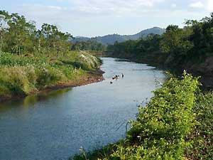 boat landing luang namtha the boat landing 171 laos boat landing luang namtha the boat landing 171 laos
